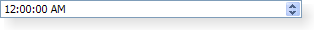 Screenshot of a Windows XP style time editing widget